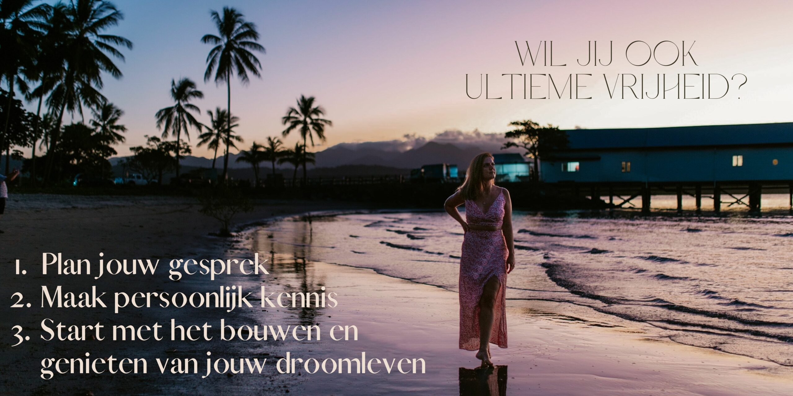 Website MAS stappenplan